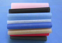 长丰镇涤纶（PET）无纺布是什么